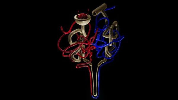 Intraoperative Diagnosis and Management of Duplicated Gallbladder: A Case Report