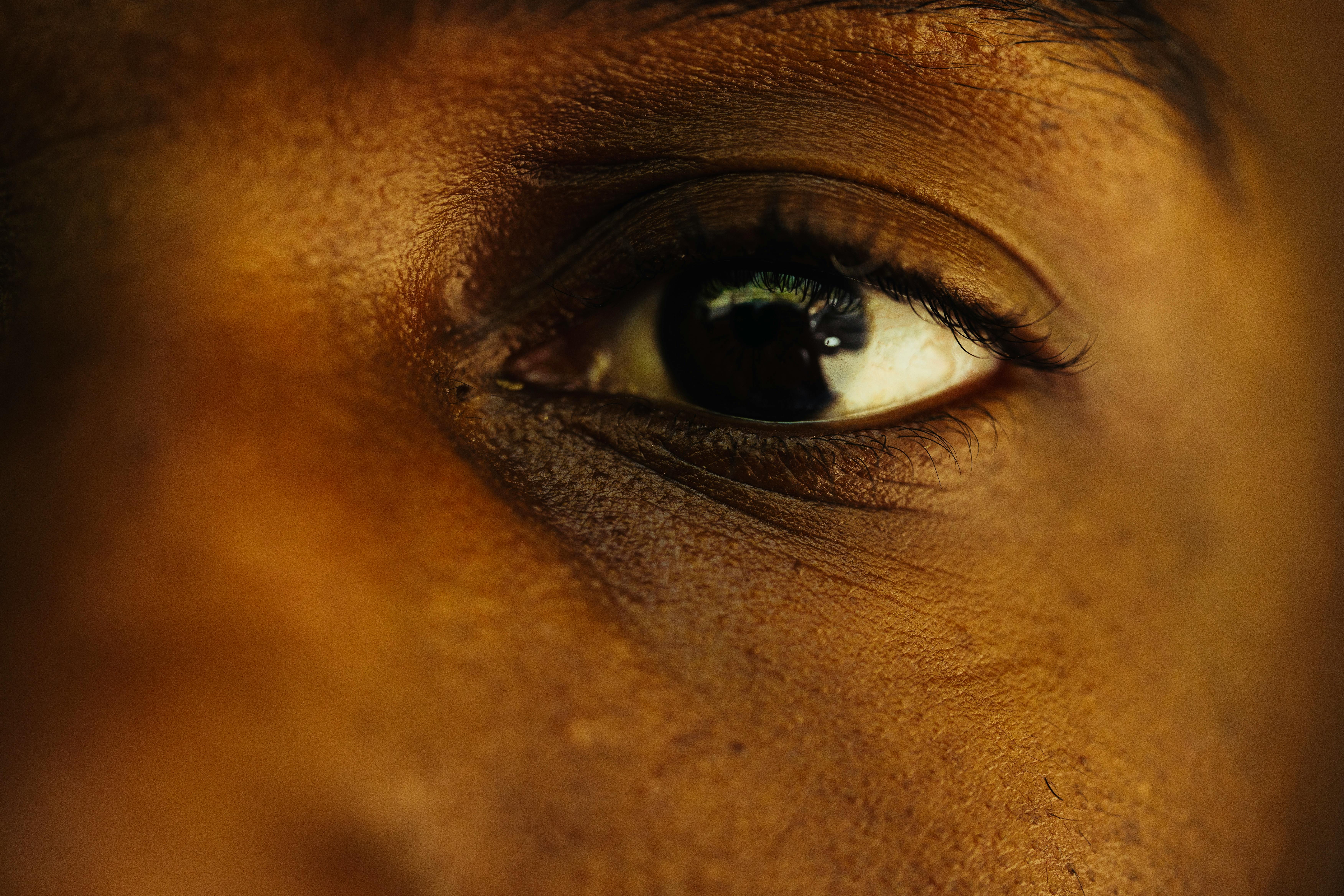 Performance Enhancement of Face Recognition Algorithms Based on Principal Components Analysis