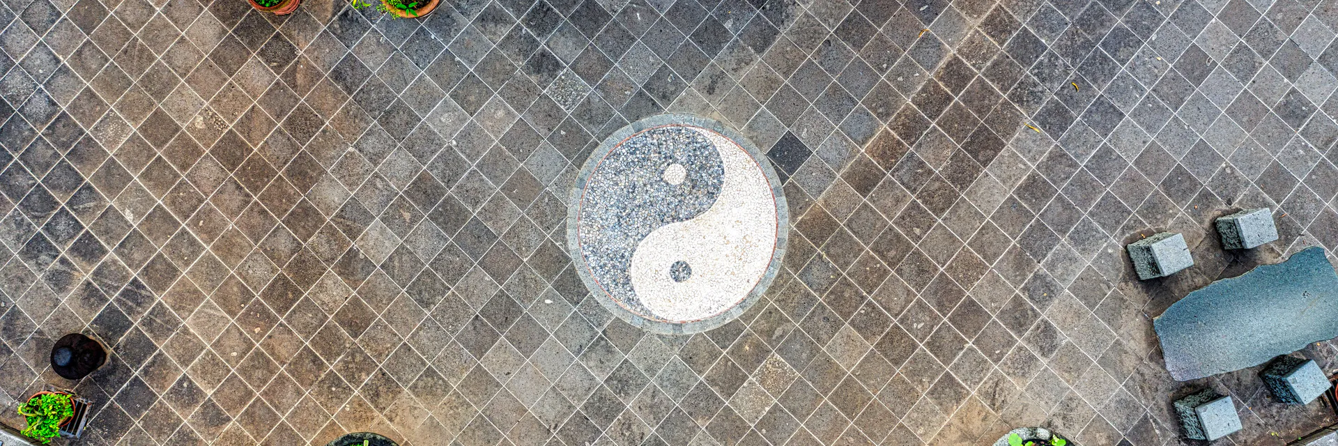 Predication and Opposition in Dào Dé Jīng, Thought Experimental Analyses of (e.g.) 道可道非常道 (II)—Maternalism and Ecofeminism Banner
