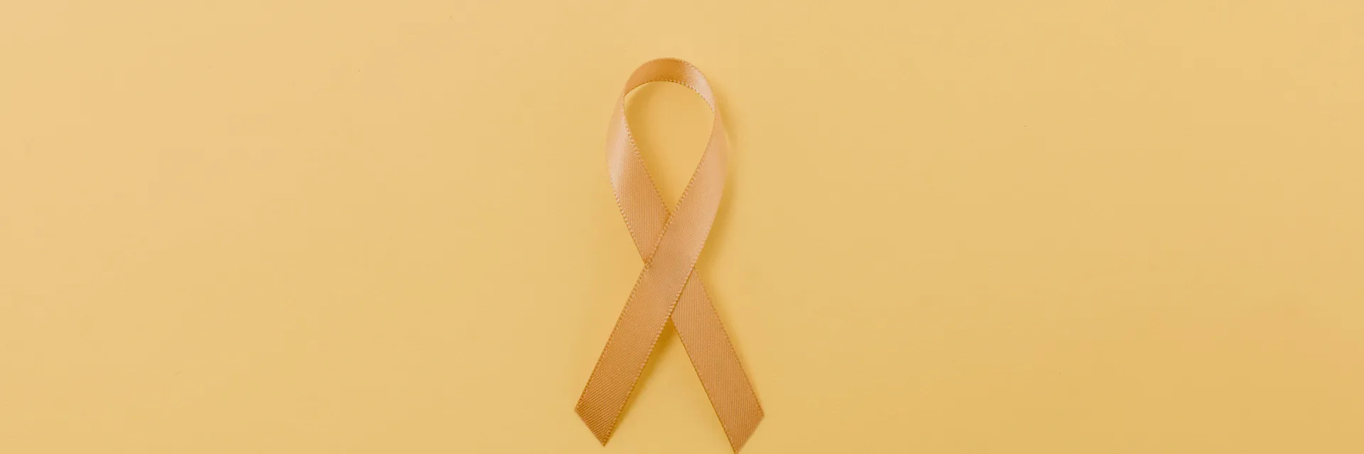 Knowledge, Attitudes, and Barriers to Mammogram Screening Among Northern Saudi Women: A Population-Based Cross-Sectional Study Banner