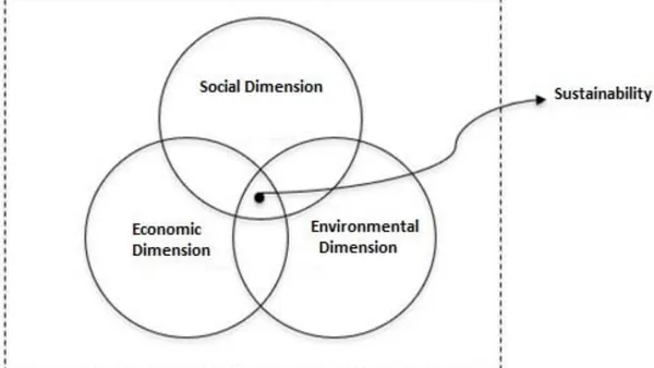 A Comparative Study of the Irrigated Zones of Jaguaribe-Apodi and Morada Nova from a (Un) Sustainable Perspective