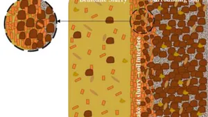Shadowing Pathologies of Diaphragm Wall Concretes: General Overview