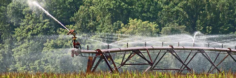 Evaluation of Irrigation Regime for Onion (Allium Cepa L.), at Arbaminch Zuria District in Snnpr, Ethiopia