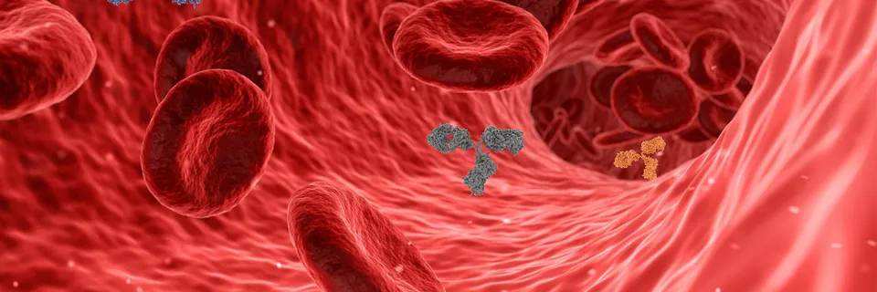 Association with the Development and Menorracy of Polymorphism Rs2046934 of the P2ry12 Gene in Patients with  Dysaggregation Thrombocytopathies. Banner