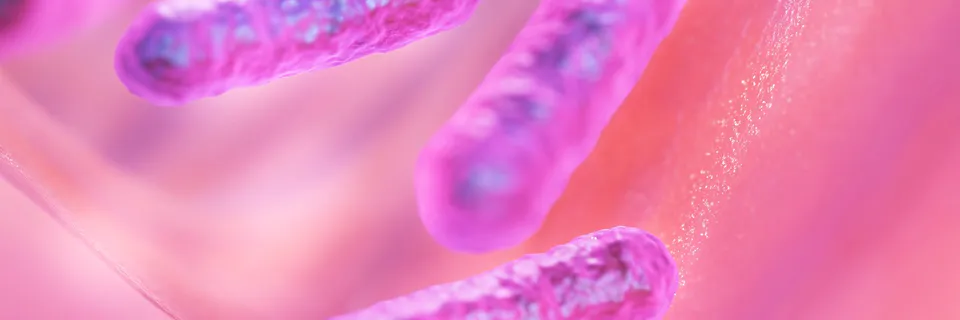 Five Plants with Promising Antimicrobial Peptides Banner