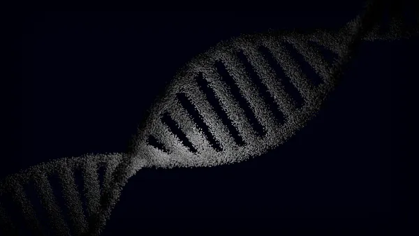 Conceptions about Teaching DNA in basic Education: A Reading based on Henri Atlan