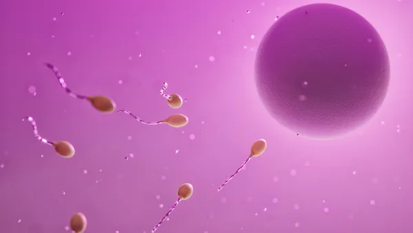 Cancer Stem Cells as the Key to Cancer: Special Emphasis on Prostate Cancer