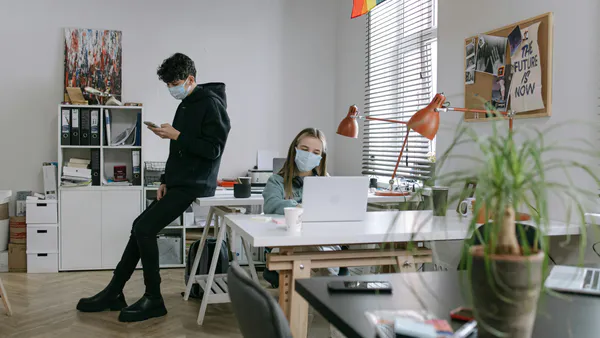 A Data-Driven Study on Flexible Working Conditions and Their Impact on Employee Performance and Job Satisfaction