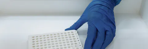 Methods for Assessing Human Embryos to Increase Reproductive Potential