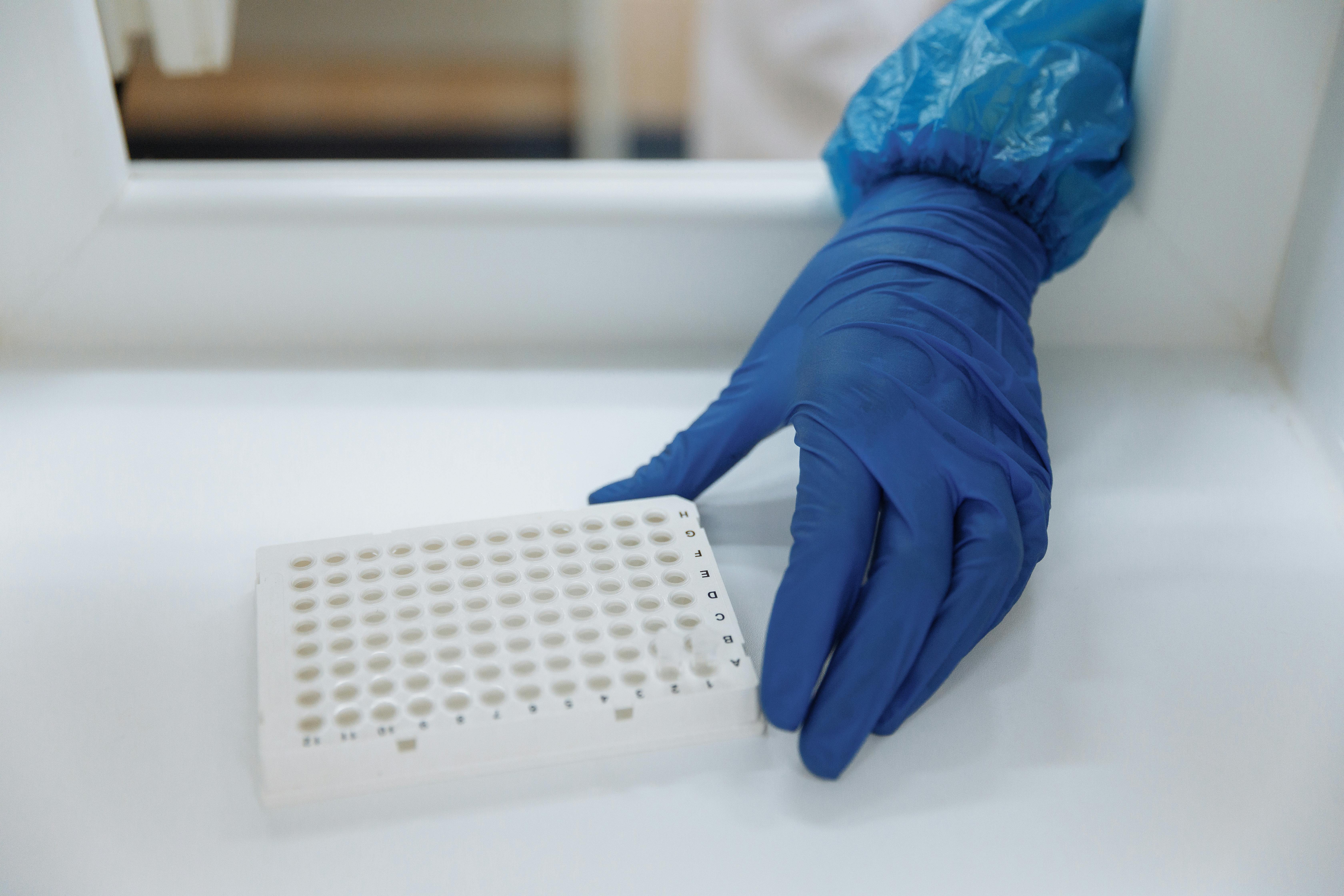 Methods for Assessing Human Embryos to Increase Reproductive Potential