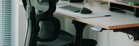 Seating, Sitting and Sitting Postures: A Theoretical and Ergonomic Review Based on the Homo Sedens Concept