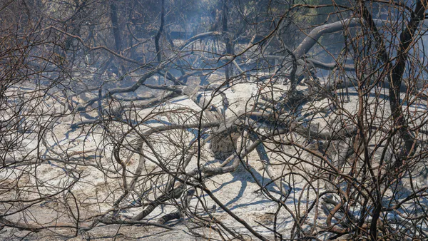 Adaptive Climate Actions