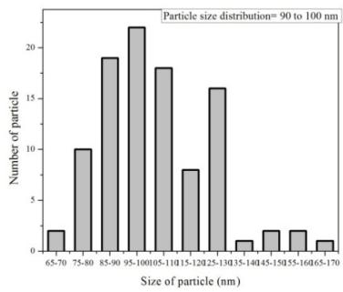 Nitrogen Sorption Isotherms of Biologically Synthesized Non-stoichiometric Hydroxyapatite Nanoparticles (HAp  NPs) Extracted from Fish Bones