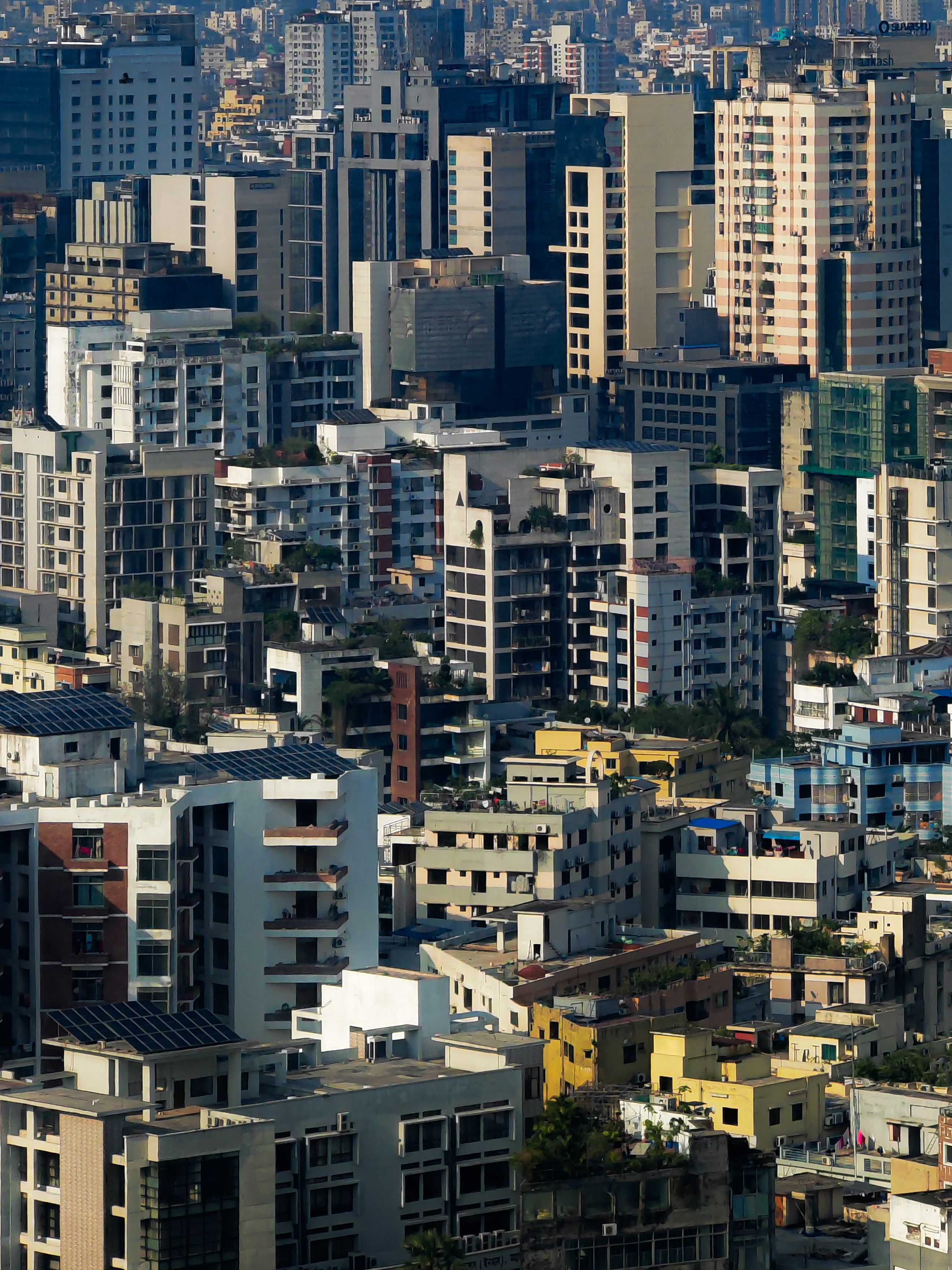 A Liveable Dhaka: Search for Possible Strategies