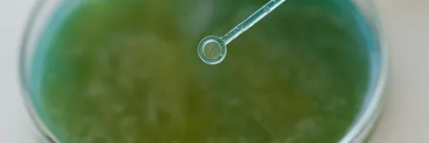 A Review on Sustainable Practices in Scientific  Research