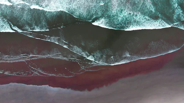 Evidence of Sediment Sterility and Benthic Quality as Deleterious Consequences after the 2019 oil Spill in Northeastern Brazil