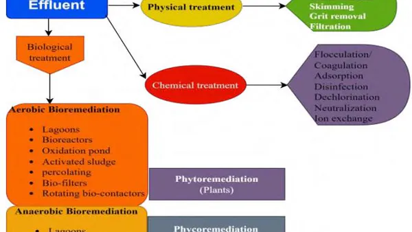 An Overview on Engineering Bio-Treatment Methods for Effluent in Food Processing Industries