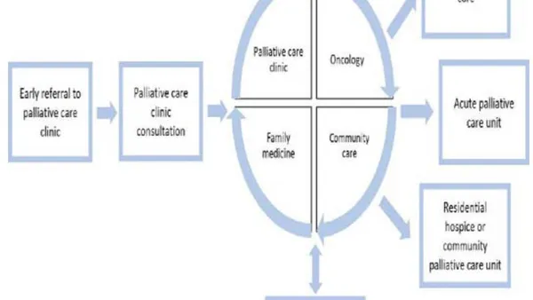 Addressing Inadequacy in the Quality of Palliative Care of Multiple Myeloma in Nigeria Using Actionable Frameworks