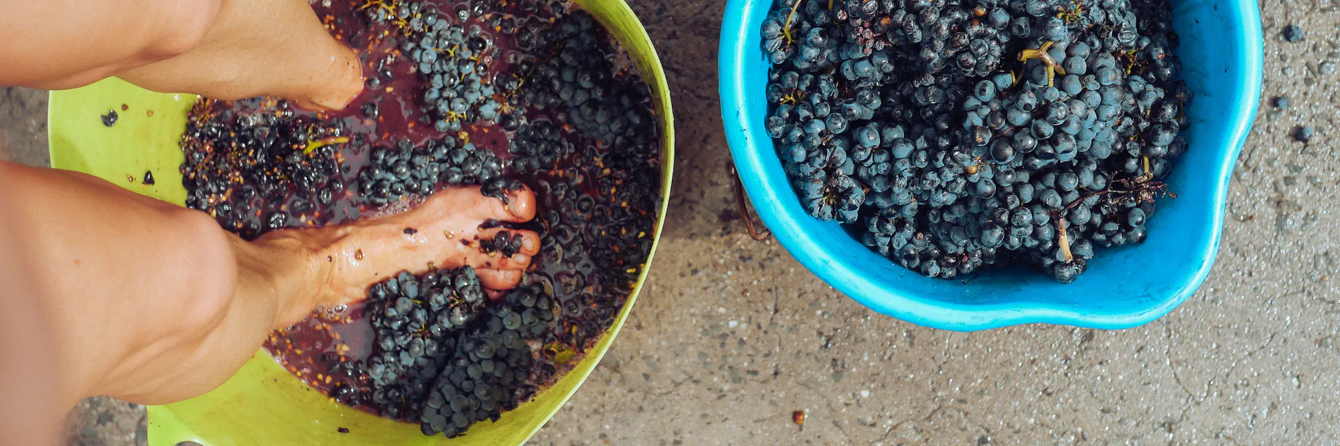 Pulsed Electric Field Effect on Sangiovese Grape Must for Winemaking Banner
