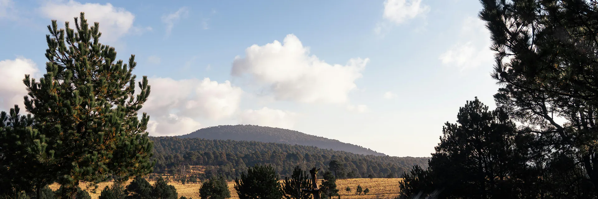 Breeding of Natural Resources in Socially Owned Territories, Sierra Occidental, Jalisco, Mexico Banner