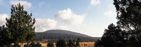Breeding of Natural Resources in Socially Owned Territories, Sierra Occidental, Jalisco, Mexico