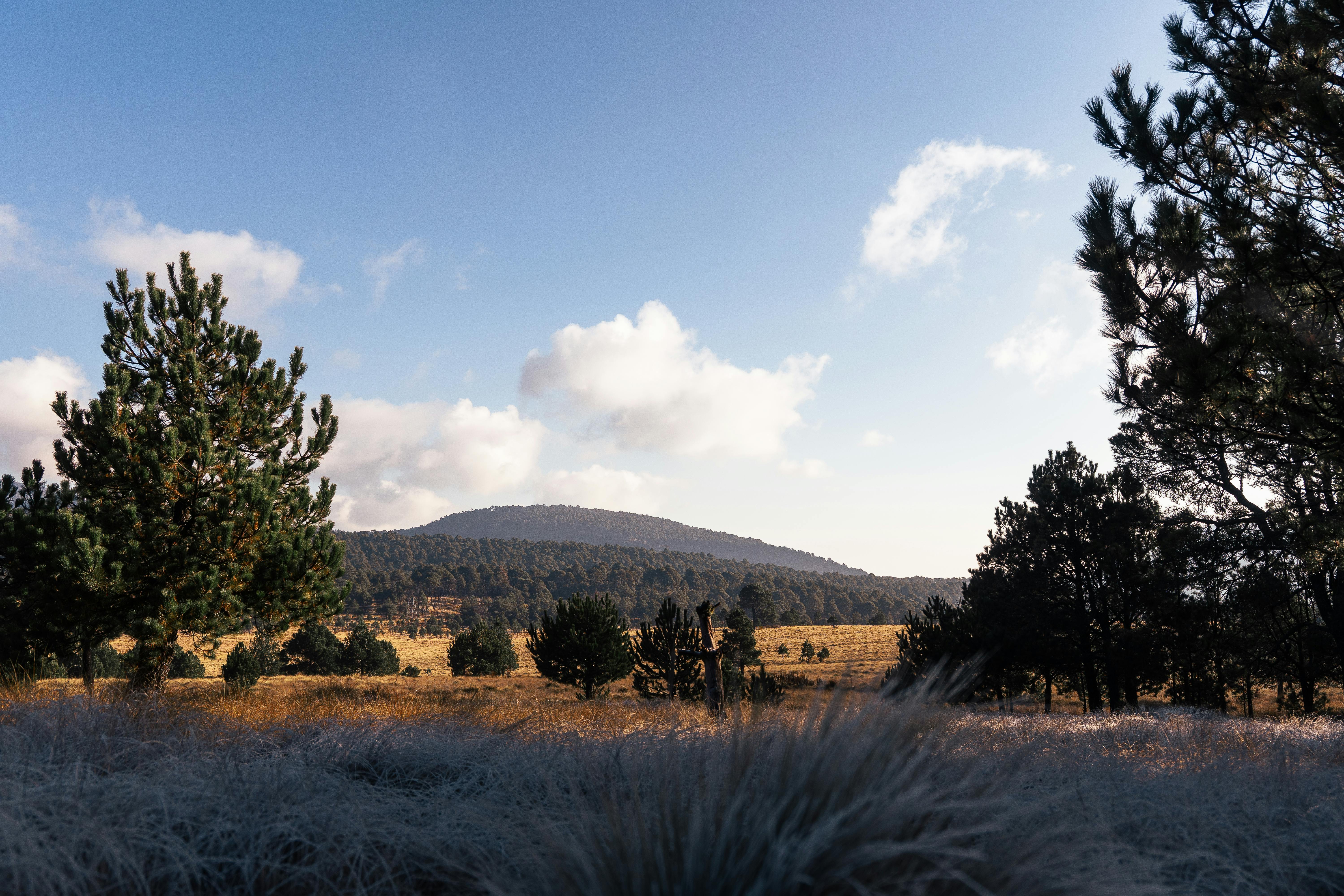 Breeding of Natural Resources in Socially Owned Territories, Sierra Occidental, Jalisco, Mexico