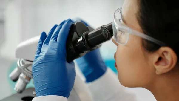 SEM Imaging for Advanced Bio Materials