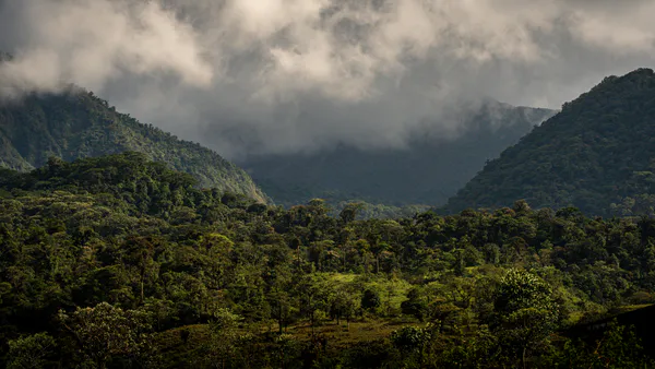 Rethinking Forest Conservation: The Genesis and Evolution of Community Forest Concessions as a Socio-Ecological Governance Model in Guatemala’s Maya Biosphere Reserve