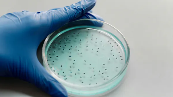 In vitro Testing of the Trichoderma Species as Bio-control Agents of (Neofusicoccum. mangiferae .Crous) Pathogen of Branch Disease in Shade and Fruit  Trees