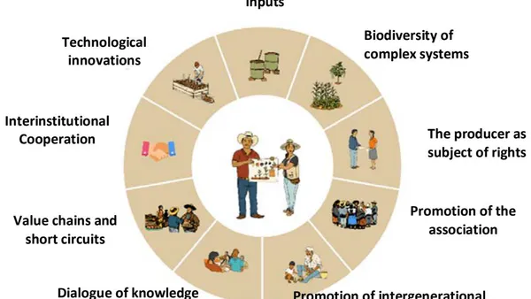 Rural Development with Agroecological Emphasis for Highly Marginalized Areas in Mexico: The Bet for Paradigm Change