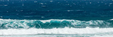 A Numerical Solution for the Coexisting Field of  Surface and Internal Solitary Waves