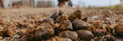 An Efficient Decision Making system for Sustainable Fertilization