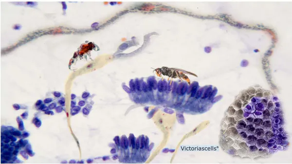 Communicating Science through Art. Victorias Cells Project