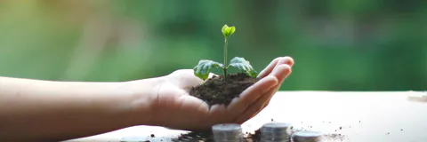 Balancing Profit and Purpose: The Role of Sustainable Finance in Transforming Modern Business Models