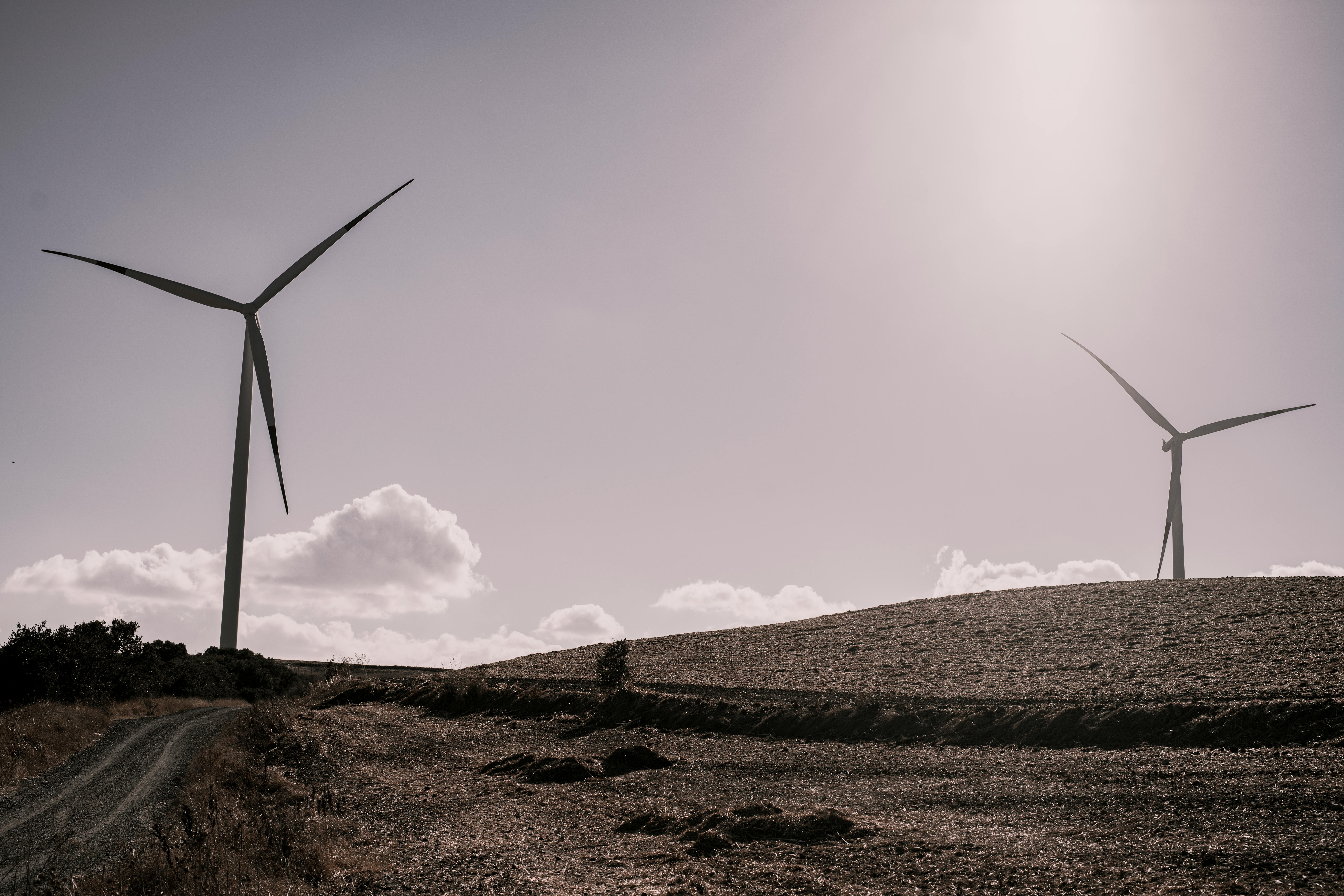 Saudi Aramco: Circular Economy and Sustainability in the Oil and Gas Industry Banner