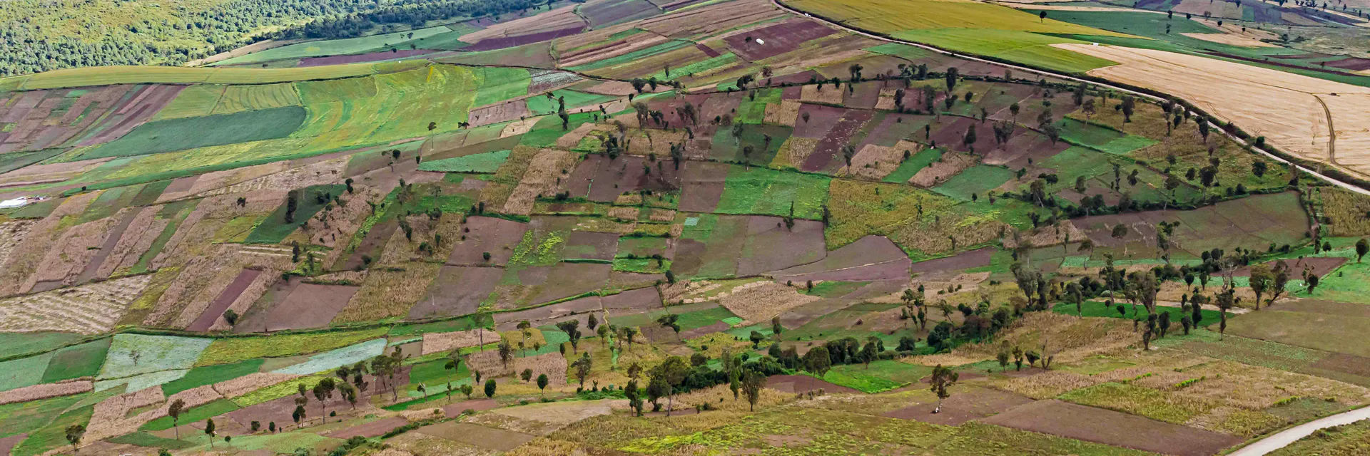 Labot in Dual Spaces and Land Conflict in Post-Conflict Northern Uganda: A Gender Discourse Analysis Banner