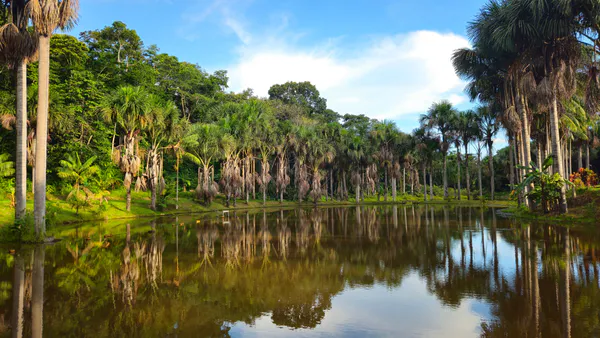 For a Social History of the Transamazônica (Brazil): The Process of Occupation of its Margins in the 1970s