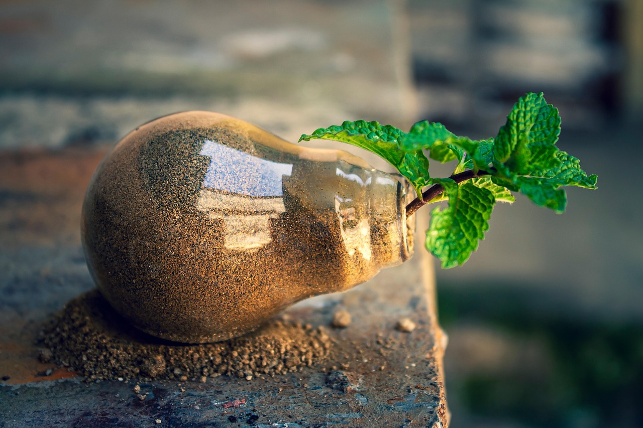 Envisioning the Future of Islamic Studies Scholarship: Liberation, Healing, and Sustainability