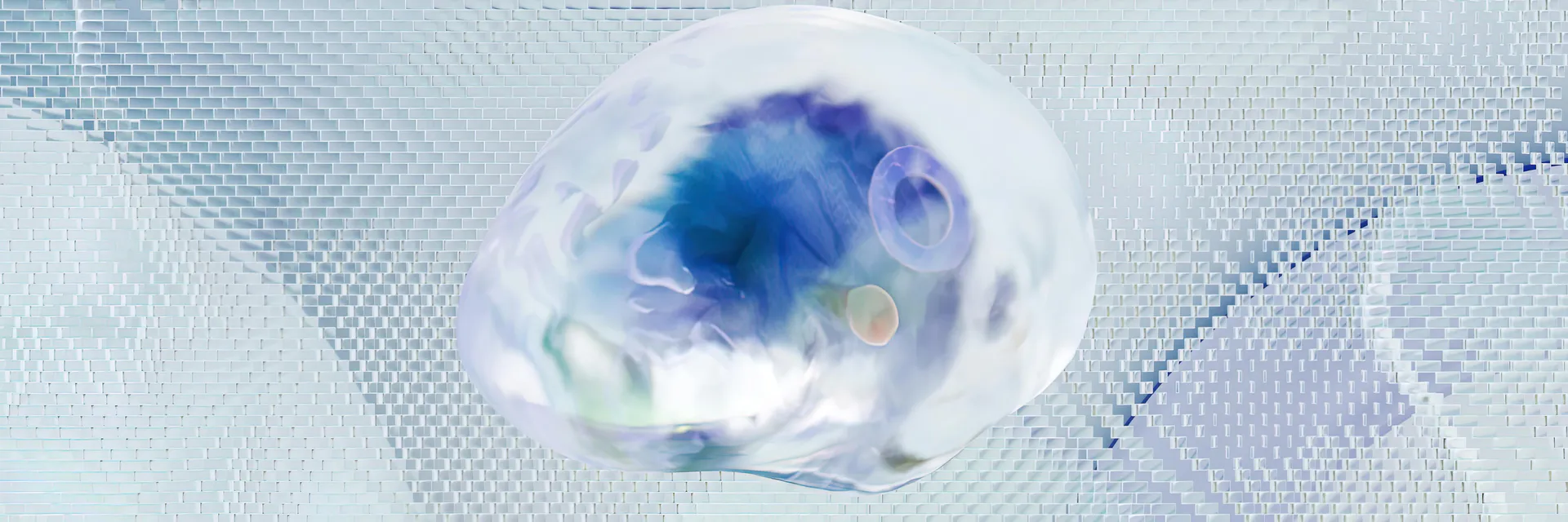 Is the Ability to Feel Magnetic Field Quantum in Nature? Banner