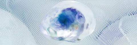 Is the Ability to Feel Magnetic Field Quantum in Nature?