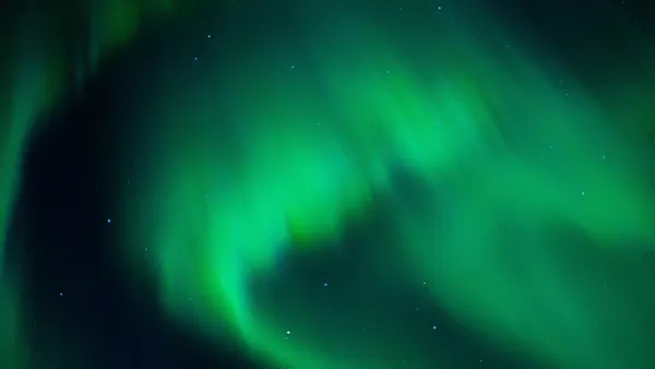 Is the Ability to Feel Magnetic Field Quantum in Nature?