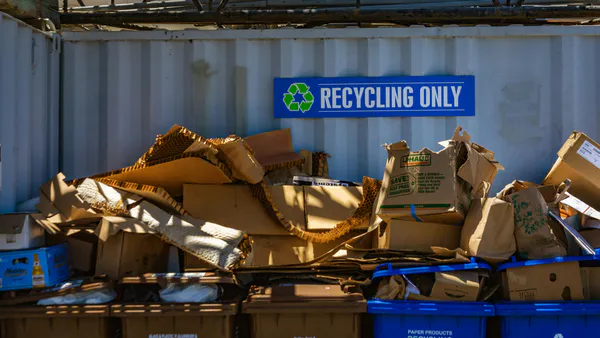 Diagnosis and Difficulties in Waste Management in a Large Brazilian City, Focusing on Selective Collection