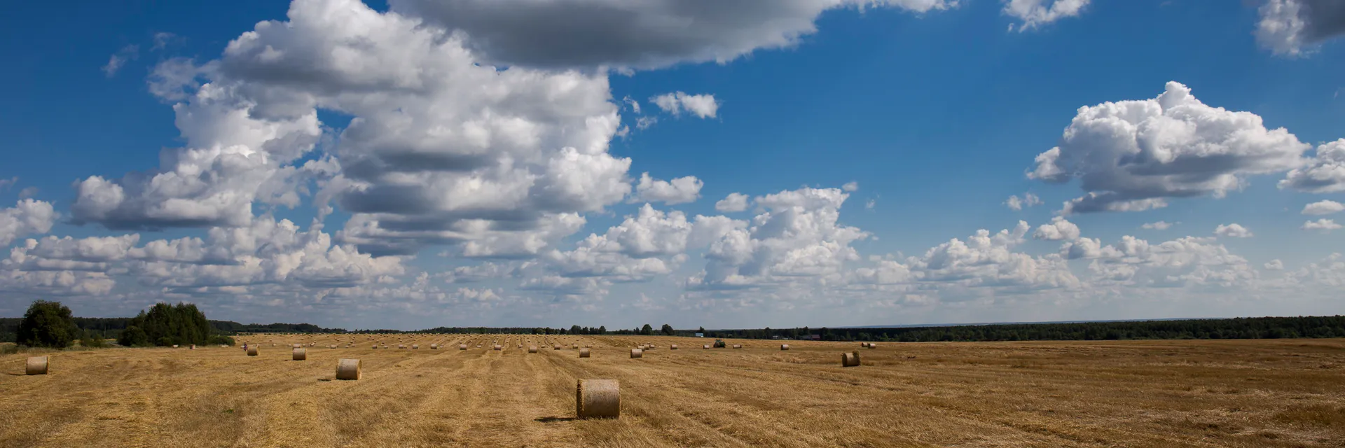 How to settle the Russian Ear East: Fate the Idea of the “Far Eastern Hectare” Banner