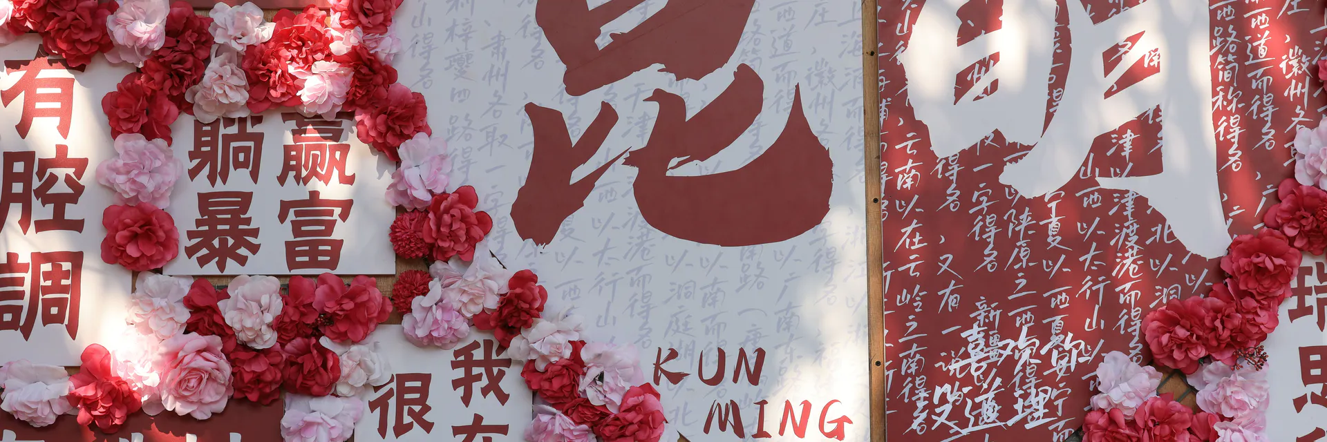 On the Subject Complement and its Basic Types in Chinese Banner