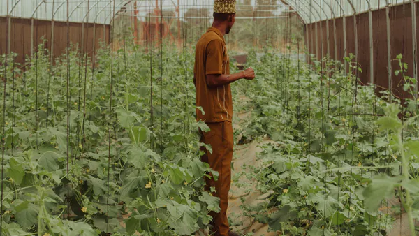 Impact of a Competence’s Formation Model on Local Agricultural Development in Cuba
