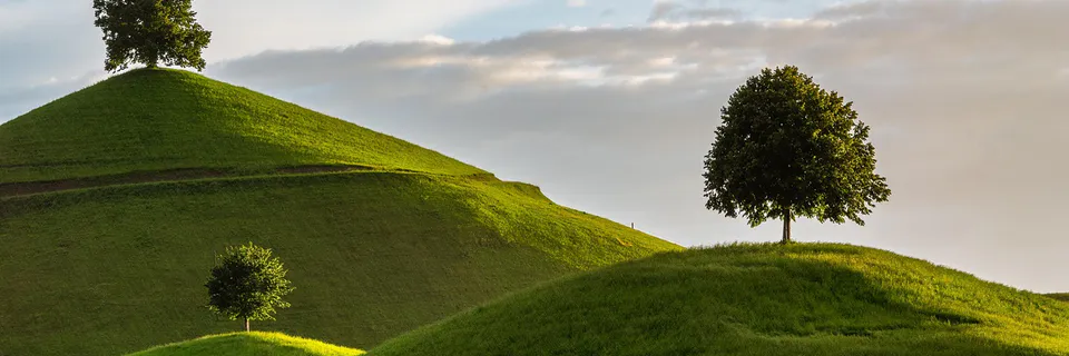 Environmental Economics: Addressing Global Environmental Challenges through Policy Banner