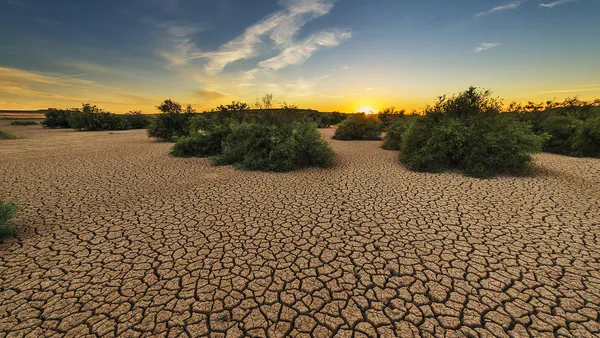 Environmental Economics: Addressing Global Environmental Challenges through Policy