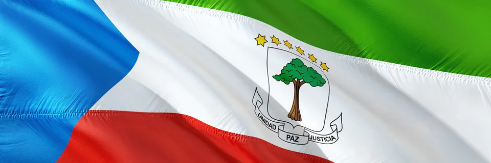 Public Debt and Private Investment in Subsaharan Africa Banner