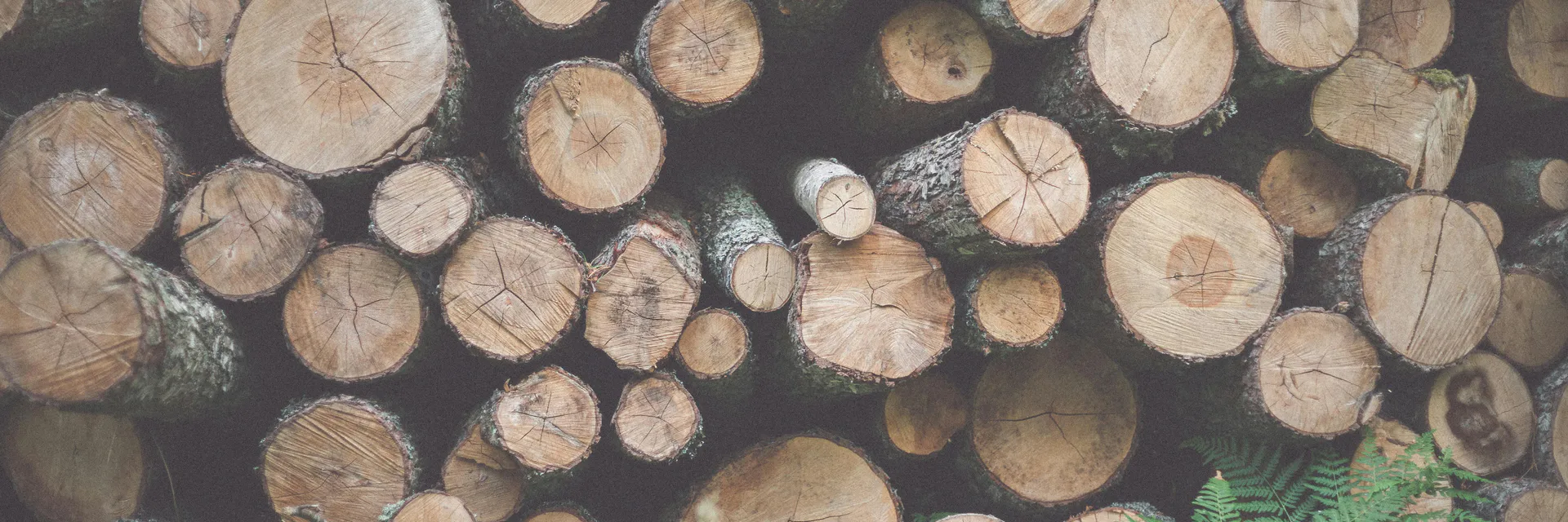 Calcmadeira: Software for Estimating Lumber Production Banner