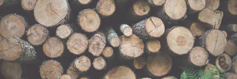 Calcmadeira: Software for Estimating Lumber Production